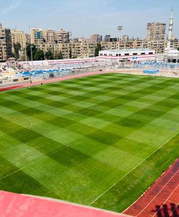 مارينا واليخوت