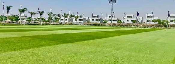 ملاعب نادي سموحة